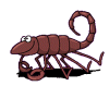 scorpion